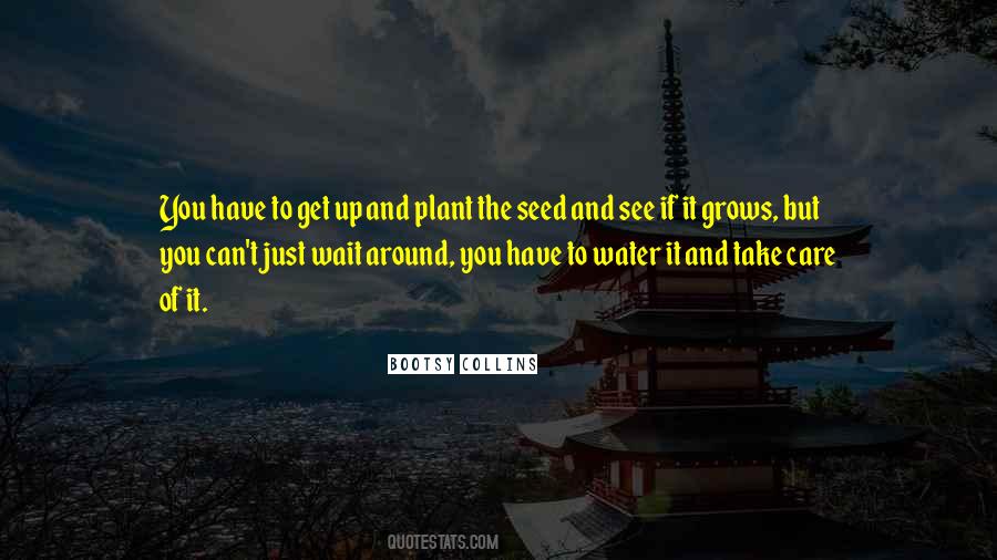 The Seed You Plant Quotes #547156