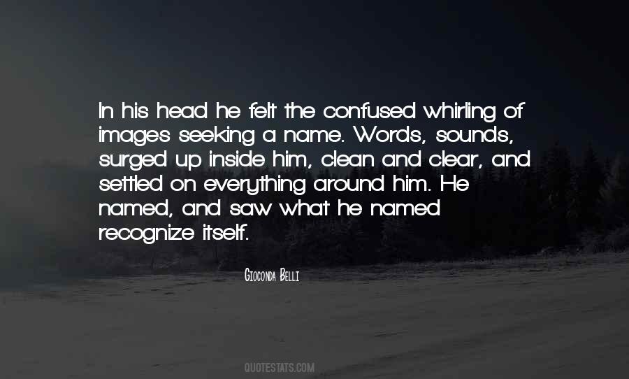 Whirling Around Quotes #1738785
