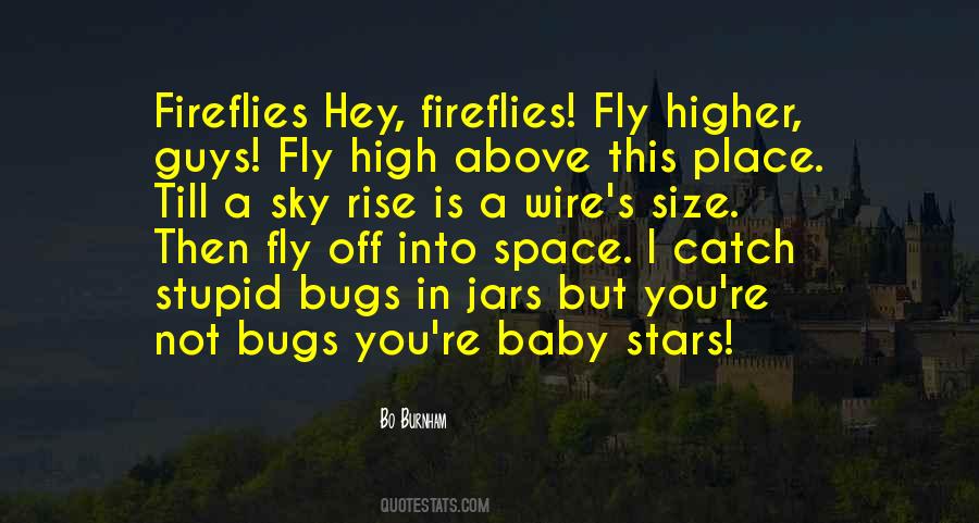 Fly High In The Sky Quotes #573068