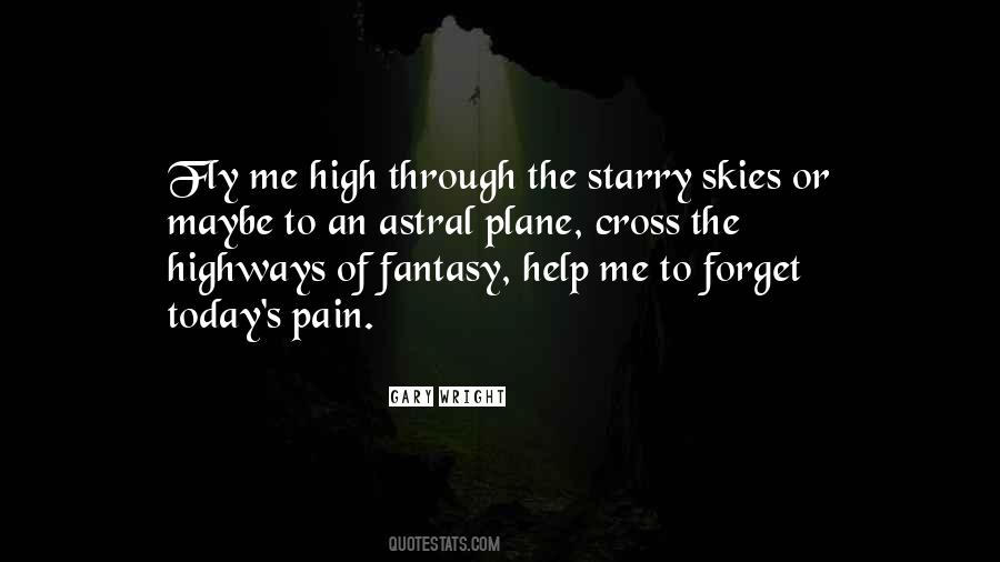 Fly High In The Sky Quotes #852931