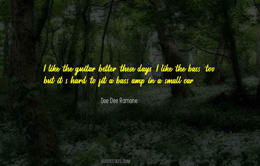 Dee Ramone Quotes #323075