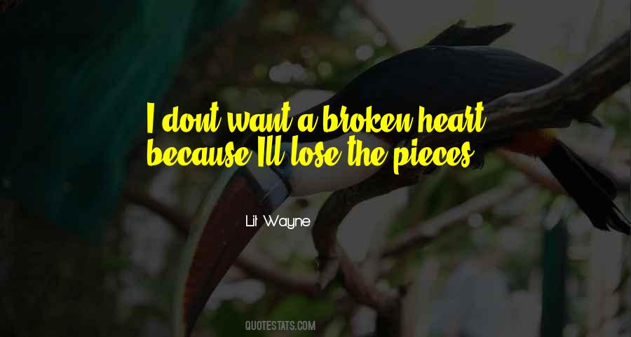 I Dont Ever Want To Lose You Quotes #1148575