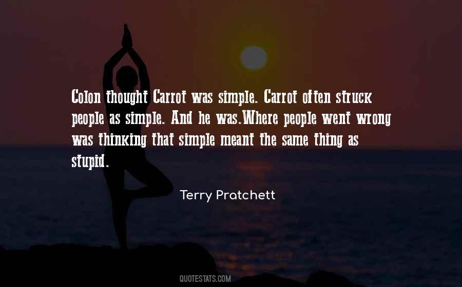 Stupid Thought Quotes #351415