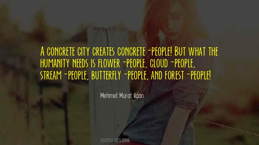 I Am A Butterfly Quotes #169545
