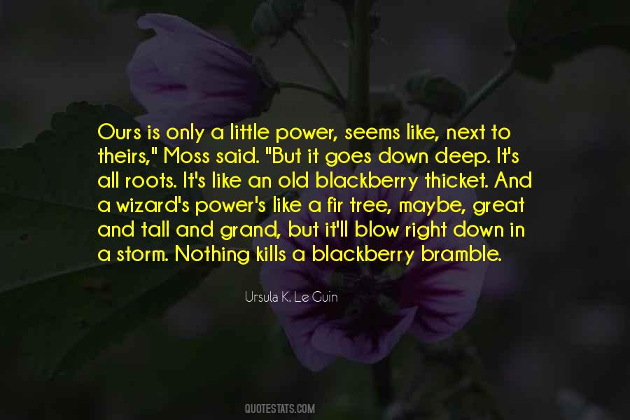 Who Said I Am The Storm Quotes #1165422