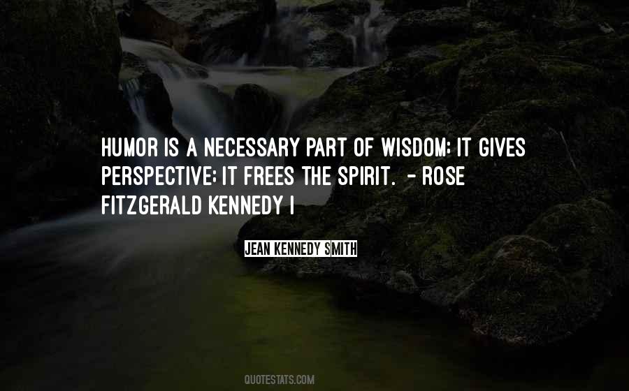 Wisdom Perspective Quotes #1706682