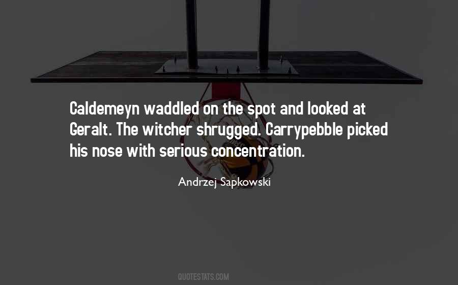 Geralt Witcher 3 Quotes #626681