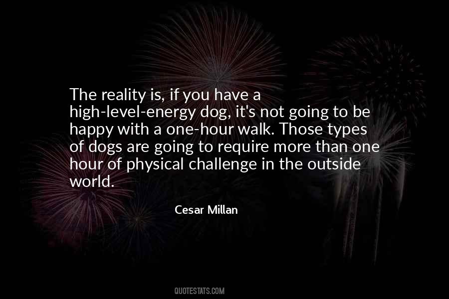 Dogs Walk Quotes #194356