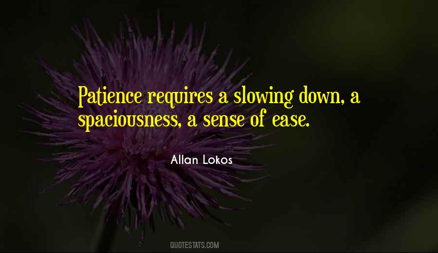 Mindfulness Patience Quotes #639054