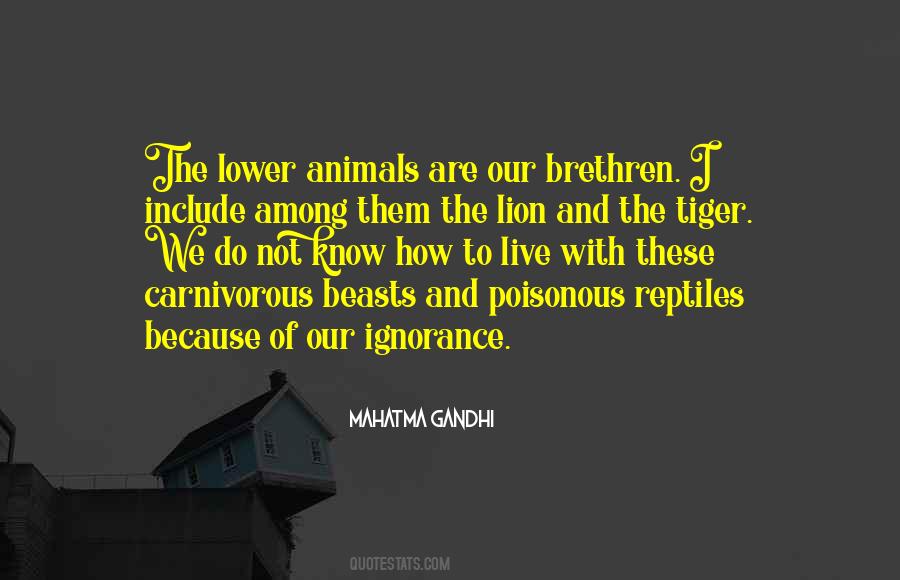 Include With Quotes #1564563