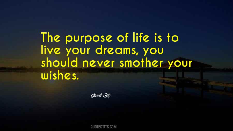Live The Life Of Your Dreams Quotes #1067511