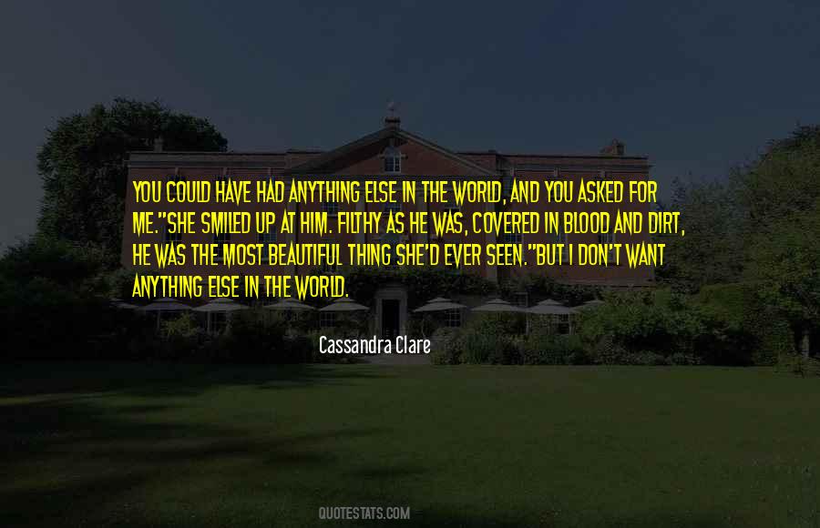 Love Me As I Love You Quotes #631226