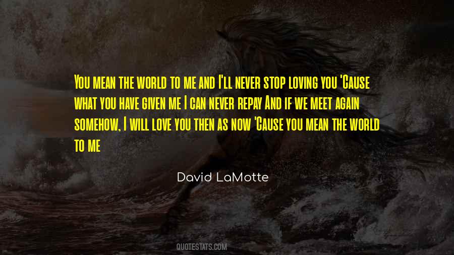 Love Me As I Love You Quotes #846694