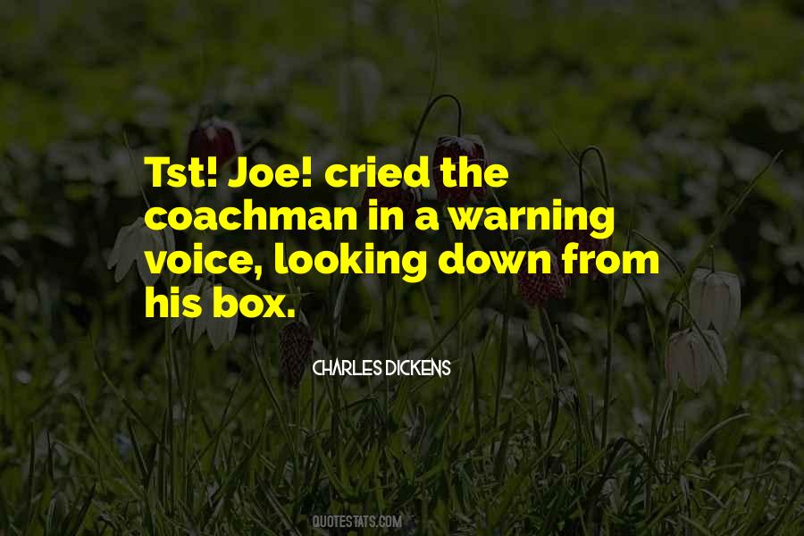 Quotes About Joe #1384383