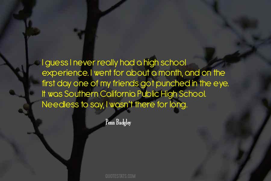 My High School Friends Quotes #1399808