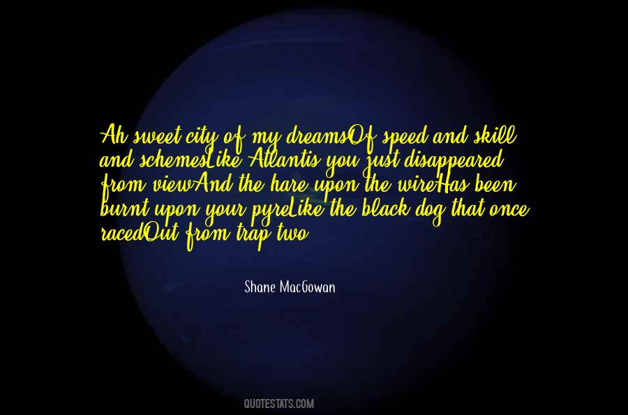 City Of My Dreams Quotes #1457842