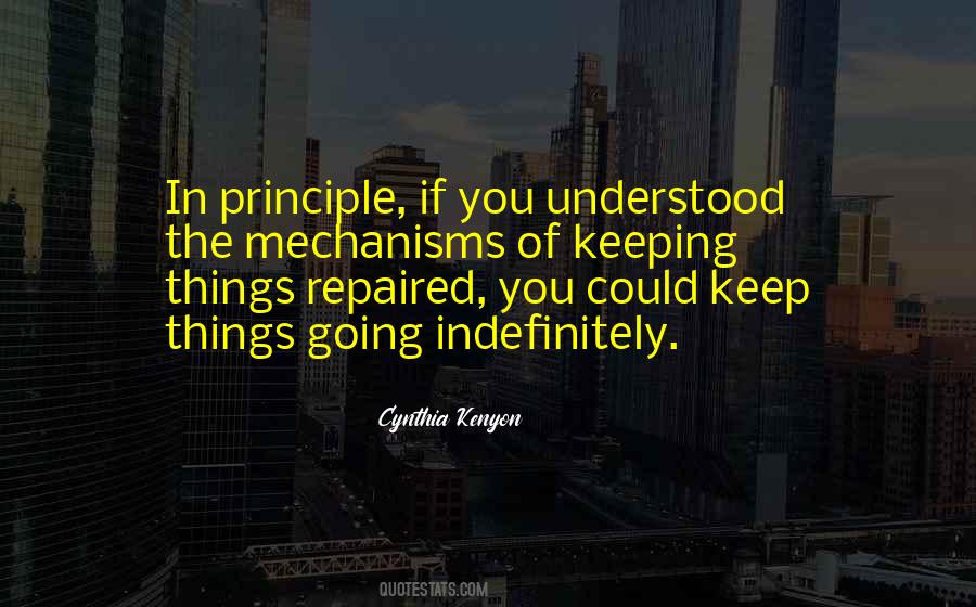 Principle Of Things Quotes #1691650
