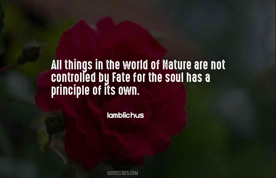 Principle Of Things Quotes #282095