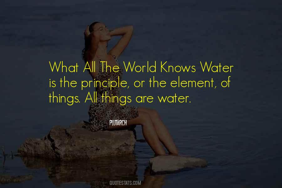 Principle Of Things Quotes #698408