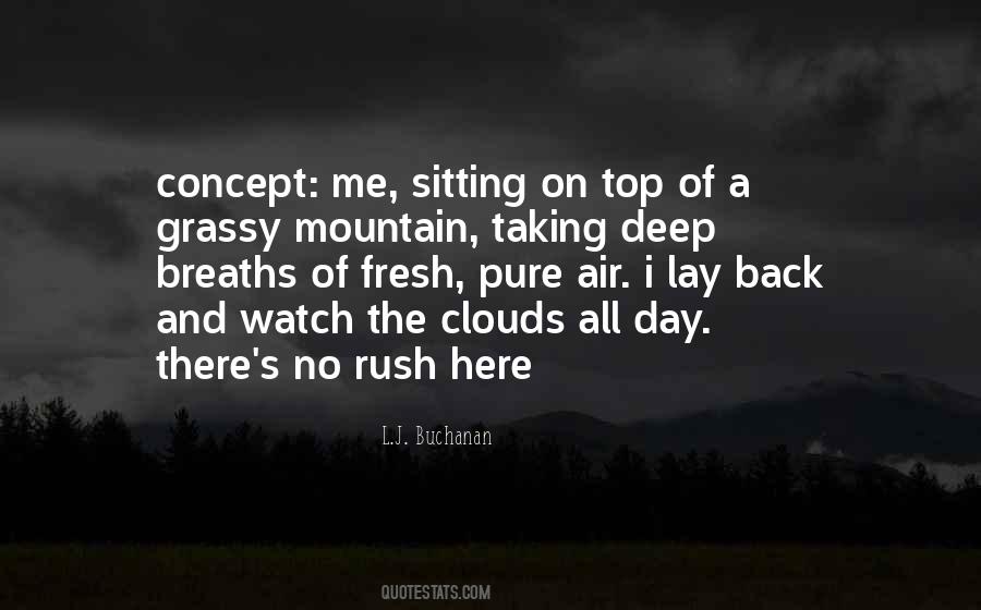 On Top Of A Mountain Quotes #1749686