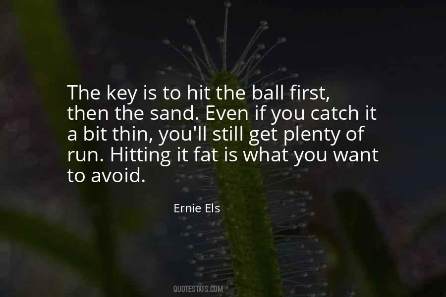 What Are Hit And Run Quotes #316461