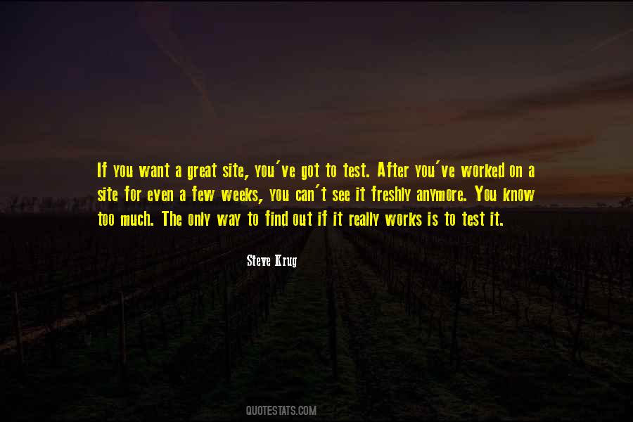 Testing You Quotes #533265