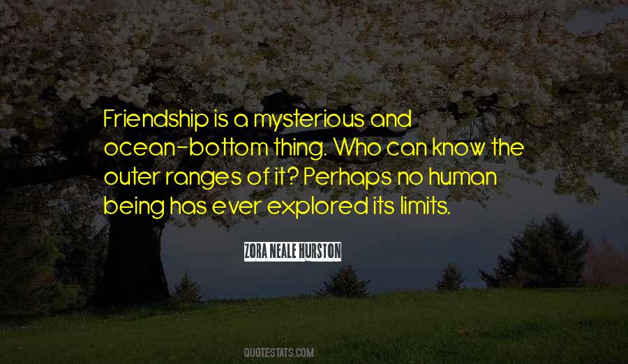 Friendship Ocean Quotes #315477