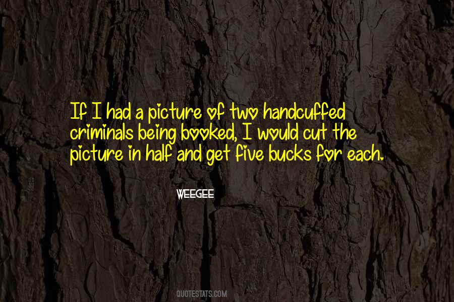 I Get The Picture Quotes #459672