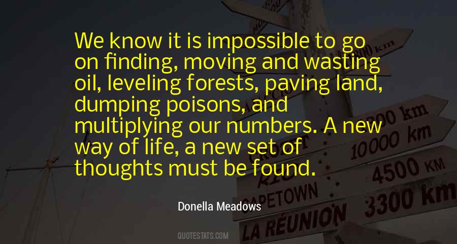 Quotes About Finding A New Way #904816