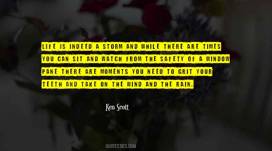Storm In Your Life Quotes #137015