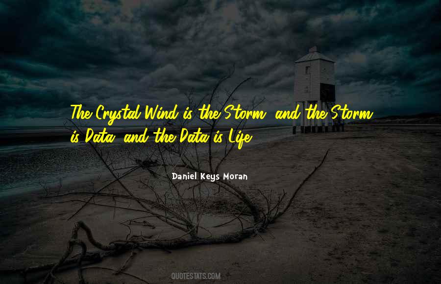 Storm In Your Life Quotes #146179