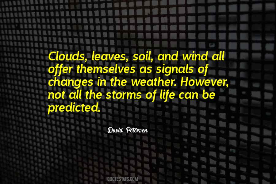 Storm In Your Life Quotes #23217