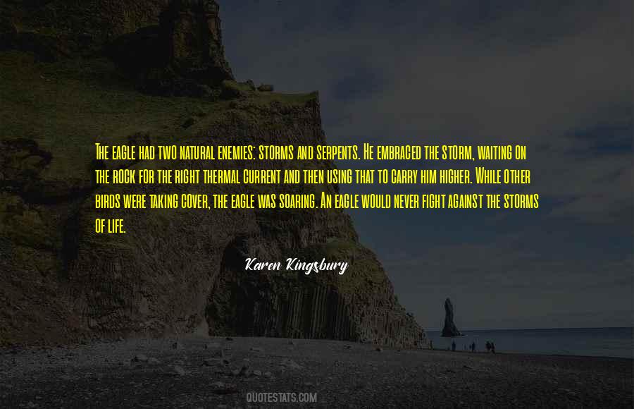 Storm In Your Life Quotes #84169