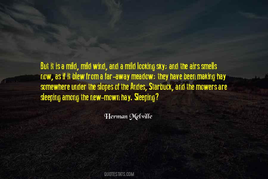 Looking Sky Quotes #1685017