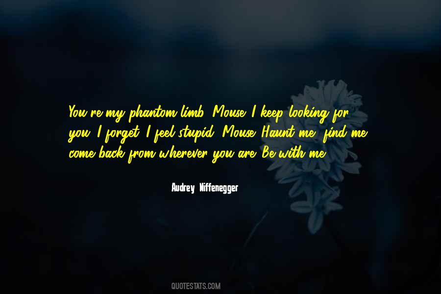 No More Looking Back Quotes #167182