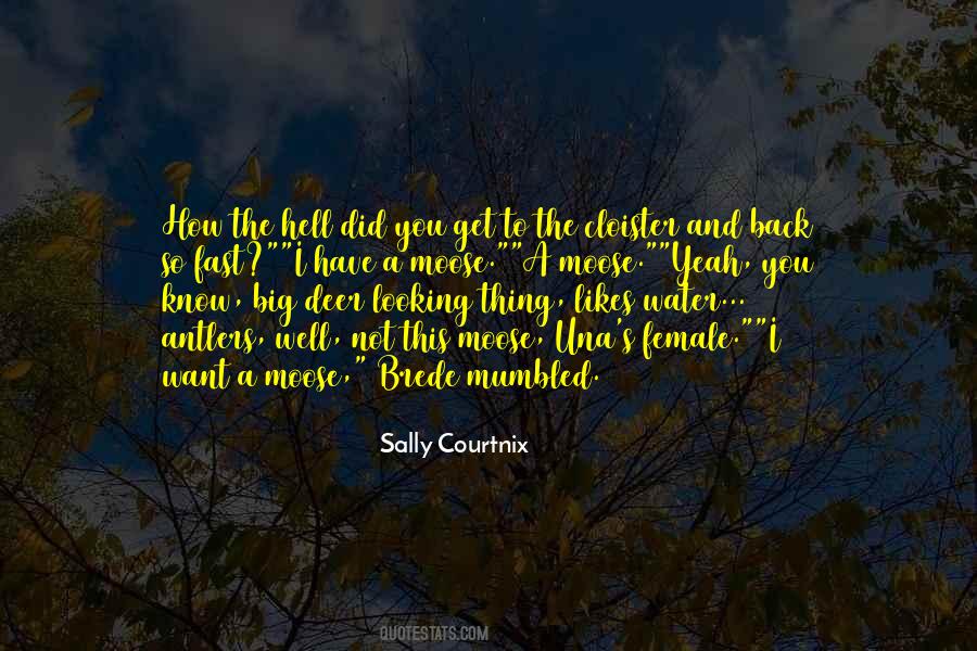 No More Looking Back Quotes #210832