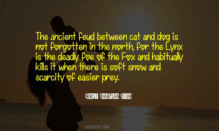 Your Kiss Was Amazing Quotes #156858