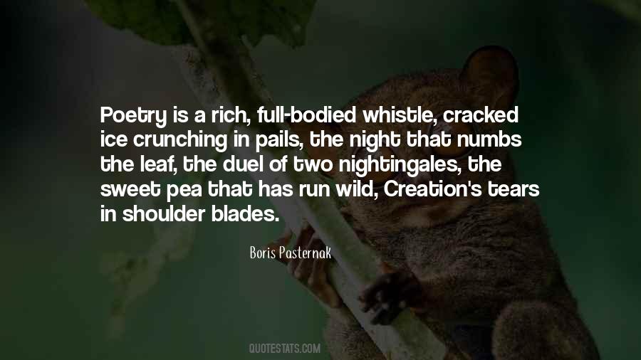 Quotes About The Beauty Of Night #1293239