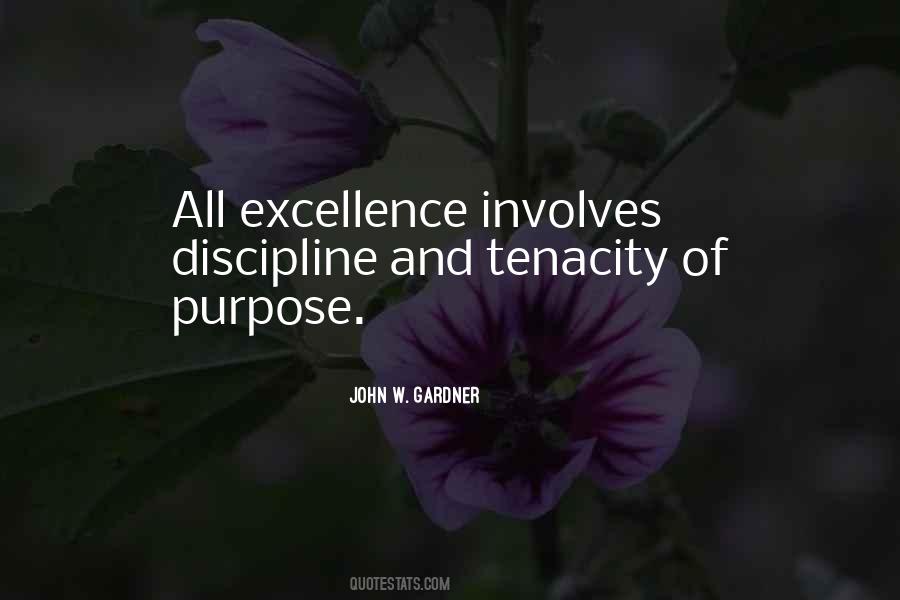 Excellence Discipline Quotes #1244179