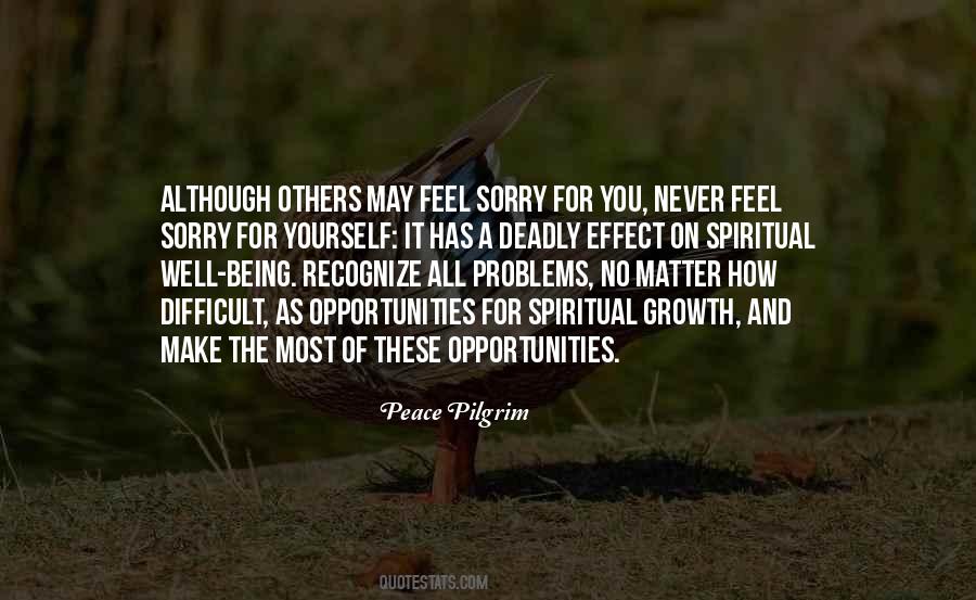 Problems As Opportunities Quotes #1444407