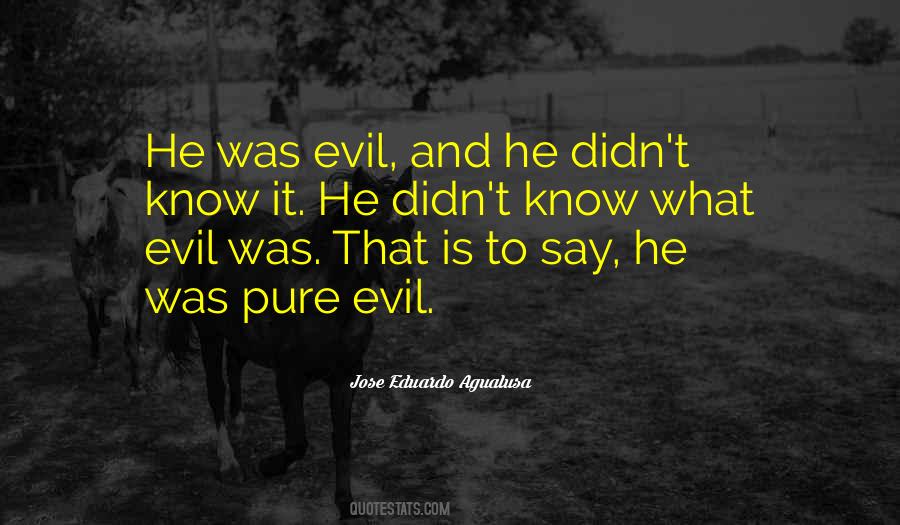 Quotes About What Evil Is #1681502