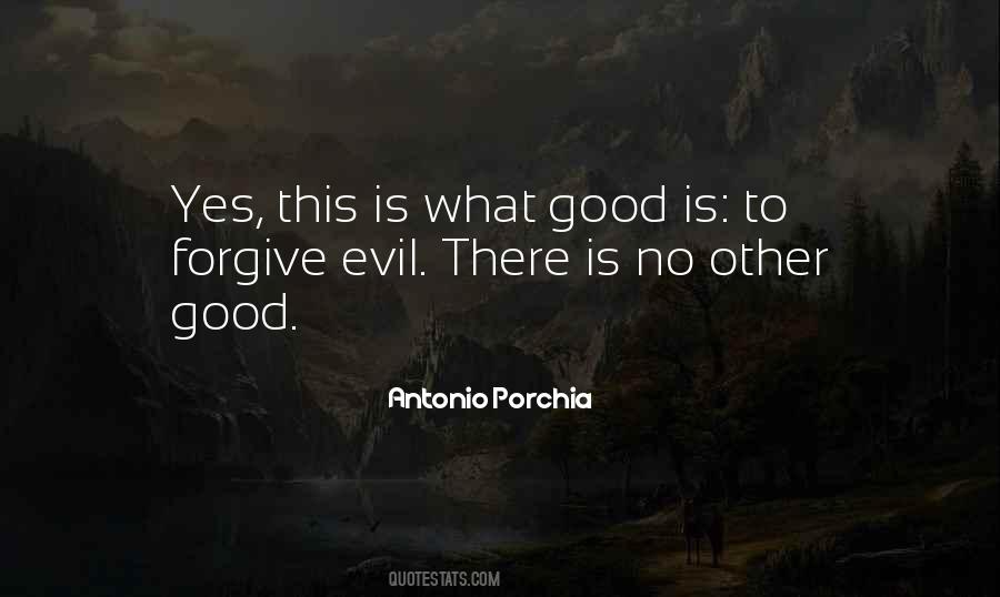 Quotes About What Evil Is #83053