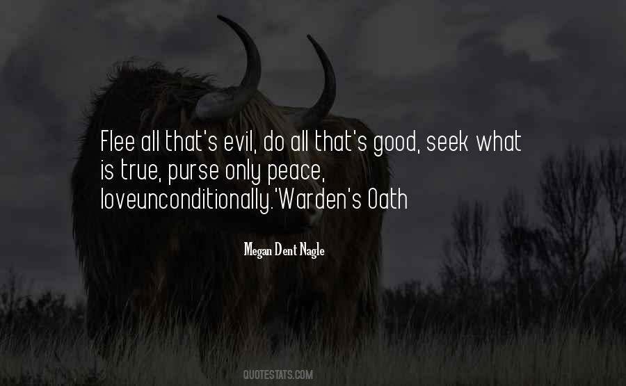 Quotes About What Evil Is #970687