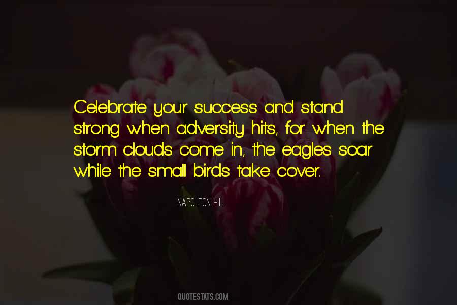 Adversity And Success Quotes #69623