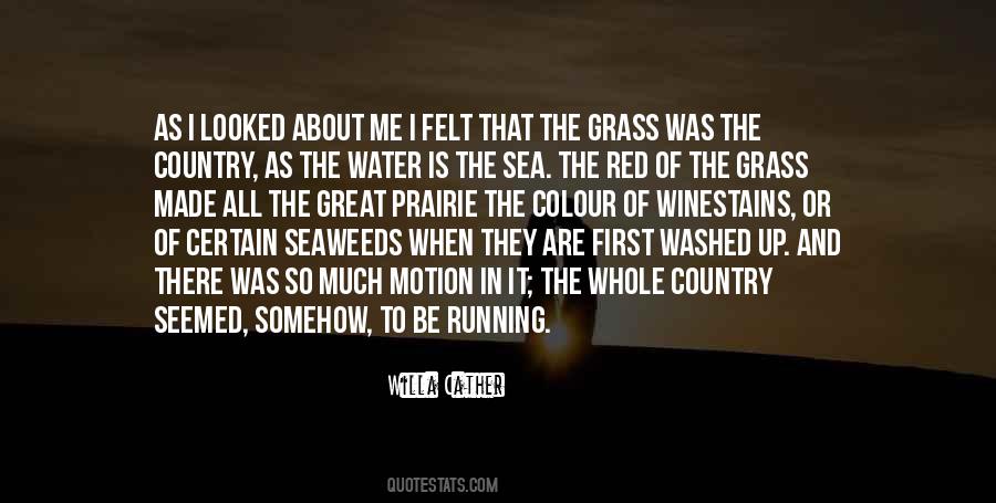 Quotes About Nature And The Sea #441115