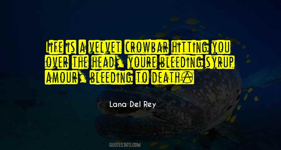 Del Rey Quotes #482000