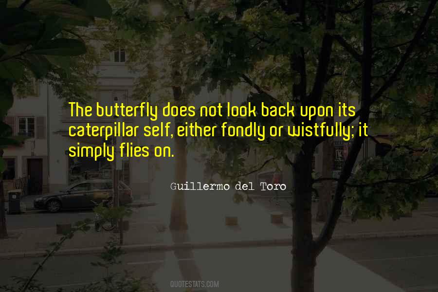 Del Toro Quotes #26108