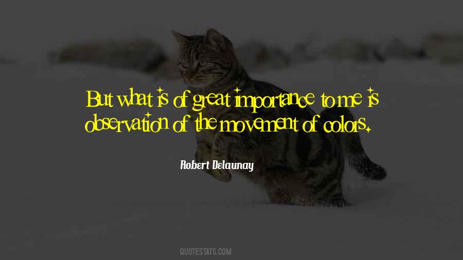 Delaunay Quotes #862929