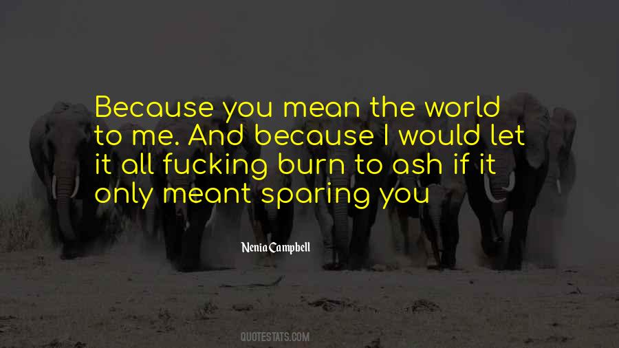 You Meant The World To Me Quotes #1235734