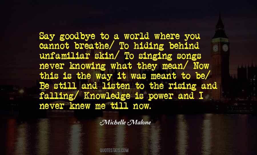 You Meant The World To Me Quotes #941016